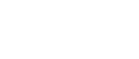 wildaurorasllc logo