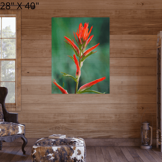 Brushed Aluminum Print "Meadow Paintbrush"