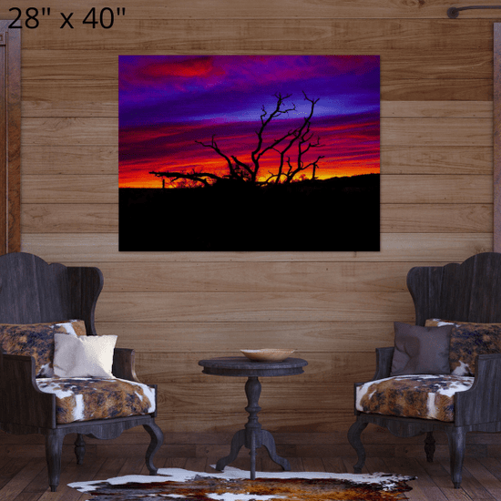 Brushed Aluminum Print "Branching Out"